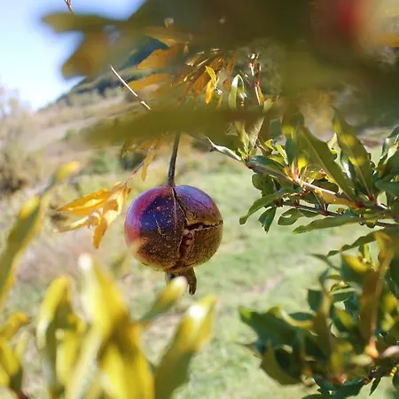 住宿加早餐酒店 Le Cascate San Fele