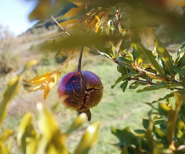 فندق مبيت وإفطار Le Cascate San Fele